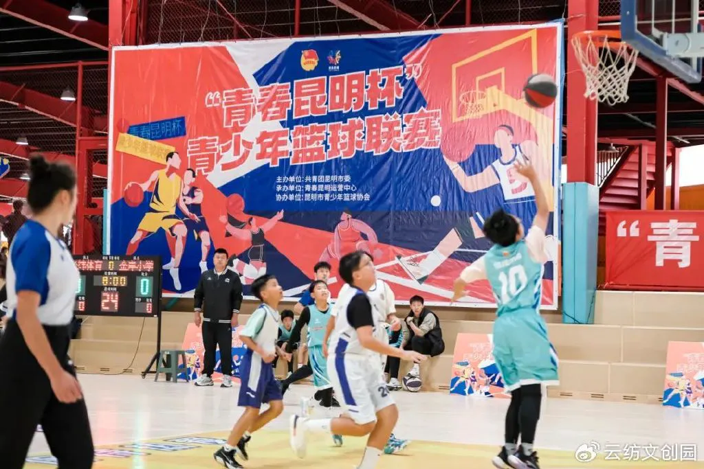 青少年篮球训练的影响因素及对策研究_2